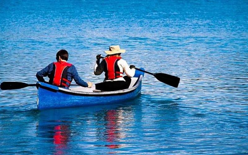 Kanadensare i Klarälven