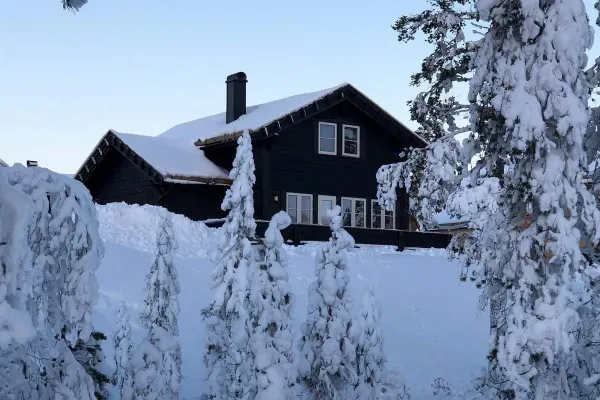 Hjorten 3