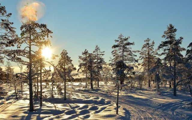 Att köra till Branäs