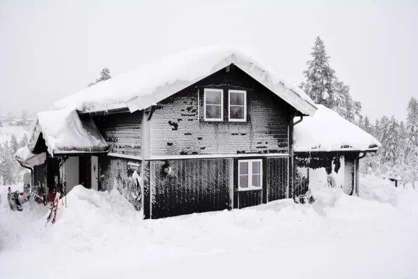 Hjorten 10