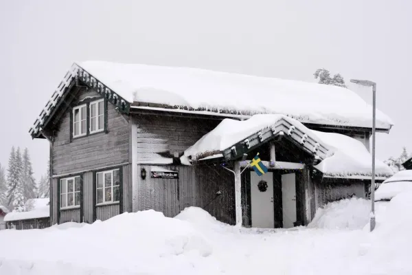 Hjorten 11